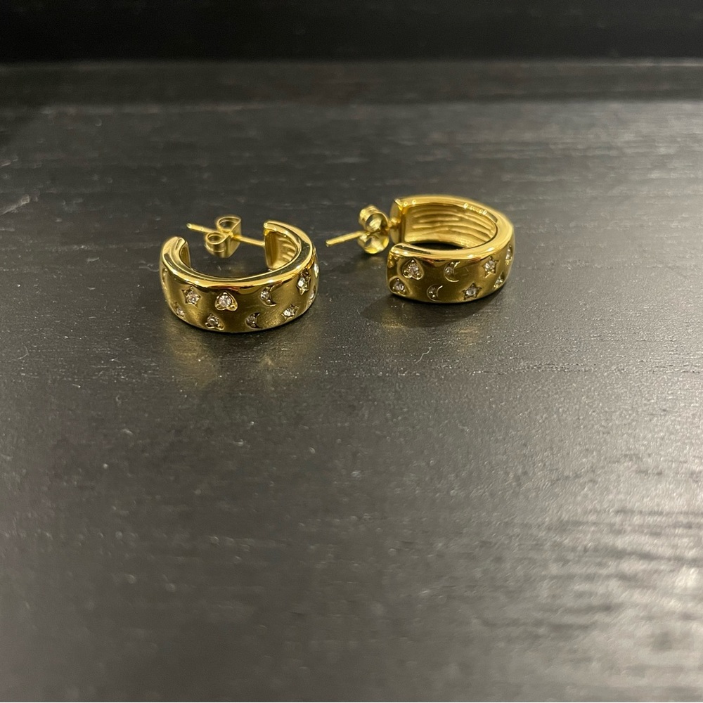 BRAND NEW! Adorable 18k gold plated stainless steel earrings